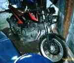 NZ250